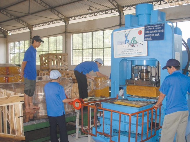 Công ty Cổ phần Cao su Phước Hòa: 50 năm đồng hành và kiến tạo ngành cao su bền vững